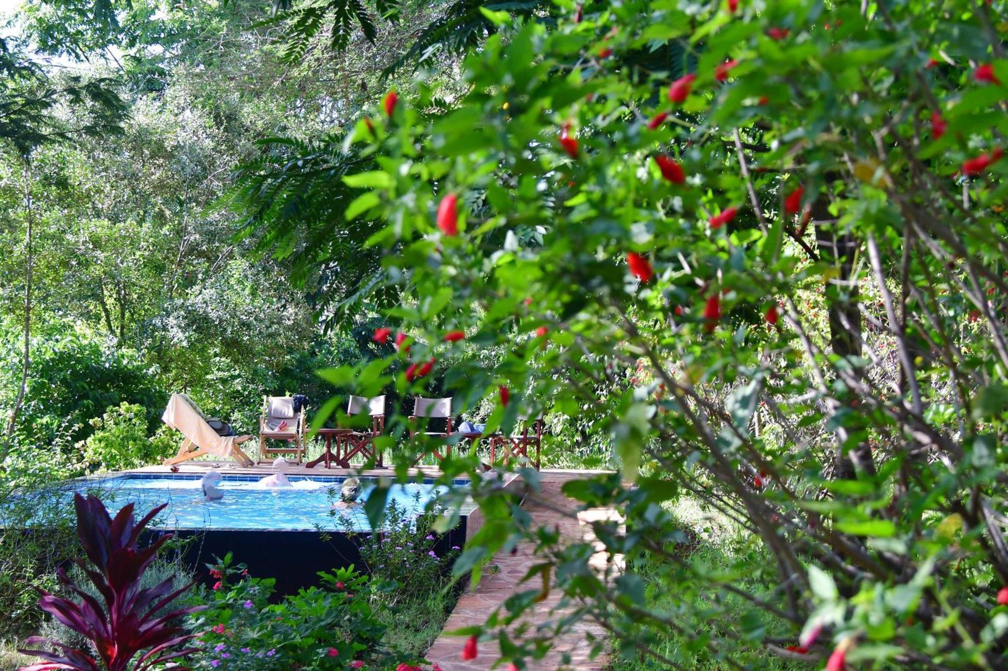 TanzanIce Farm Lodge Karatu Exterior foto